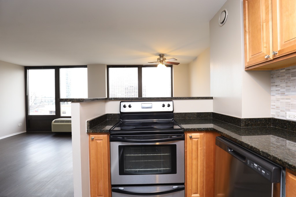 https://chicagocityflats.com/pics/15363-D.jpg?timestamp=2024-12-03T02:50:05-06:00