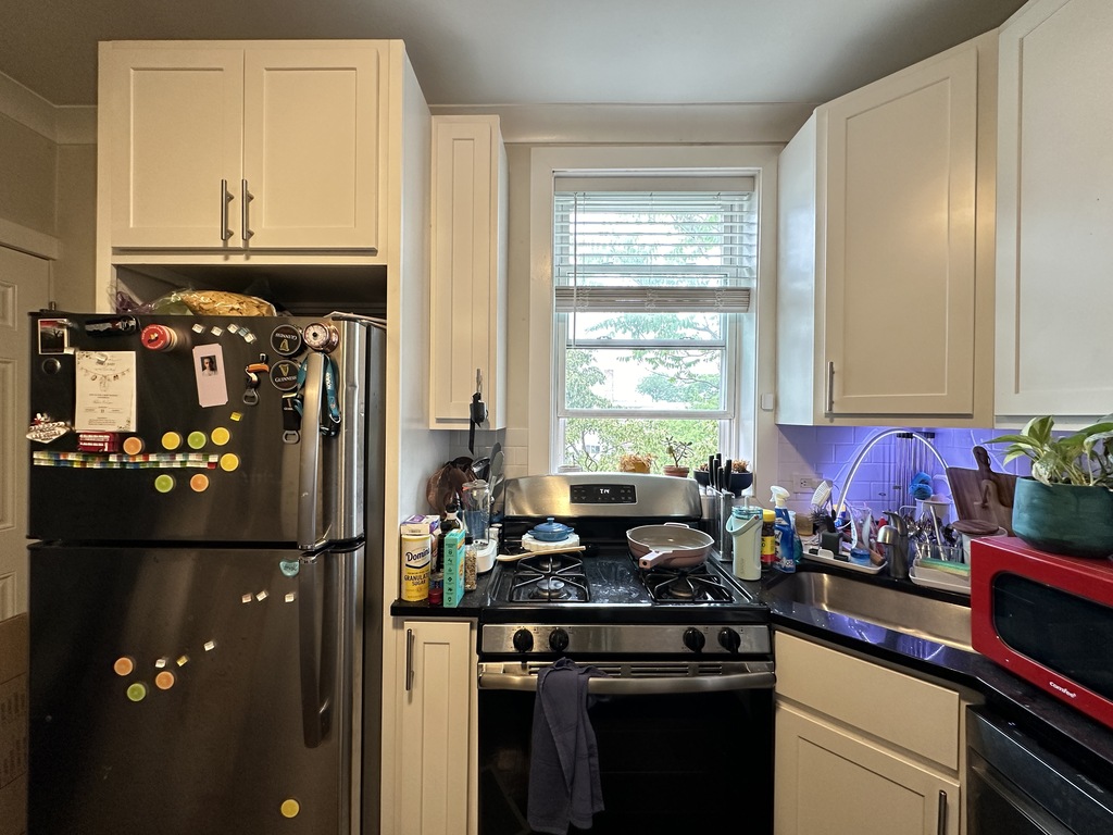 https://chicagocityflats.com/pics/19201-D.jpg?timestamp=2025-06-05T08:21:02-05:00