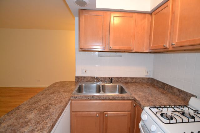 https://chicagocityflats.com/pics/20065-D.jpg?timestamp=2024-12-03T02:50:07-06:00
