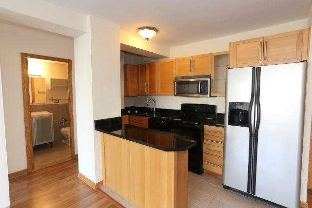 https://chicagocityflats.com/pics/22442-D.jpg?timestamp=2024-12-03T02:50:08-06:00