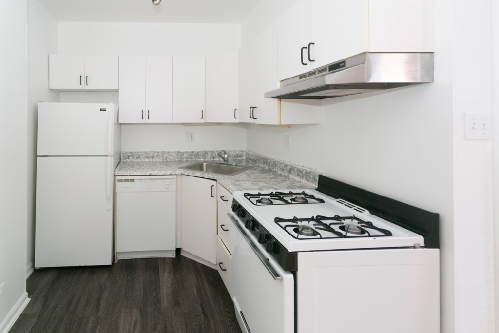 https://chicagocityflats.com/pics/25469-B.jpg?timestamp=2024-12-03T02:50:09-06:00