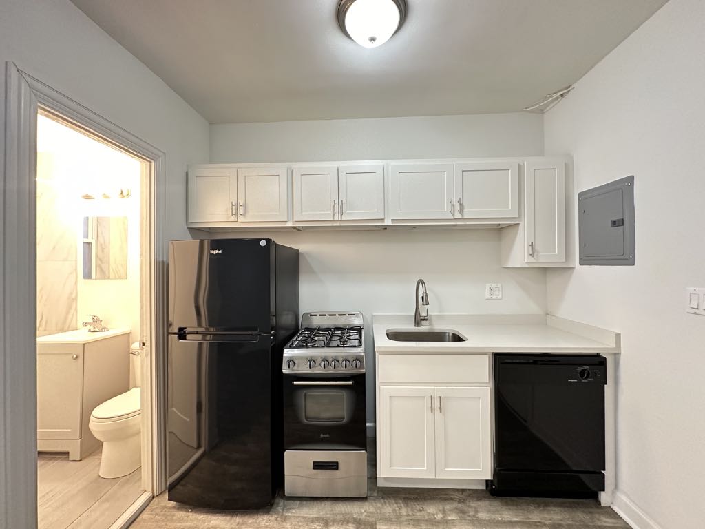 https://chicagocityflats.com/pics/30398-C.jpg?timestamp=2024-12-03T02:50:11-06:00