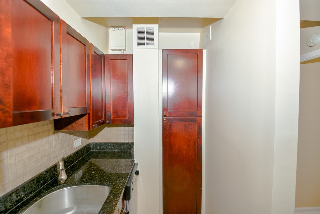 https://chicagocityflats.com/pics/33757-D.jpg?timestamp=2024-12-03T02:50:13-06:00