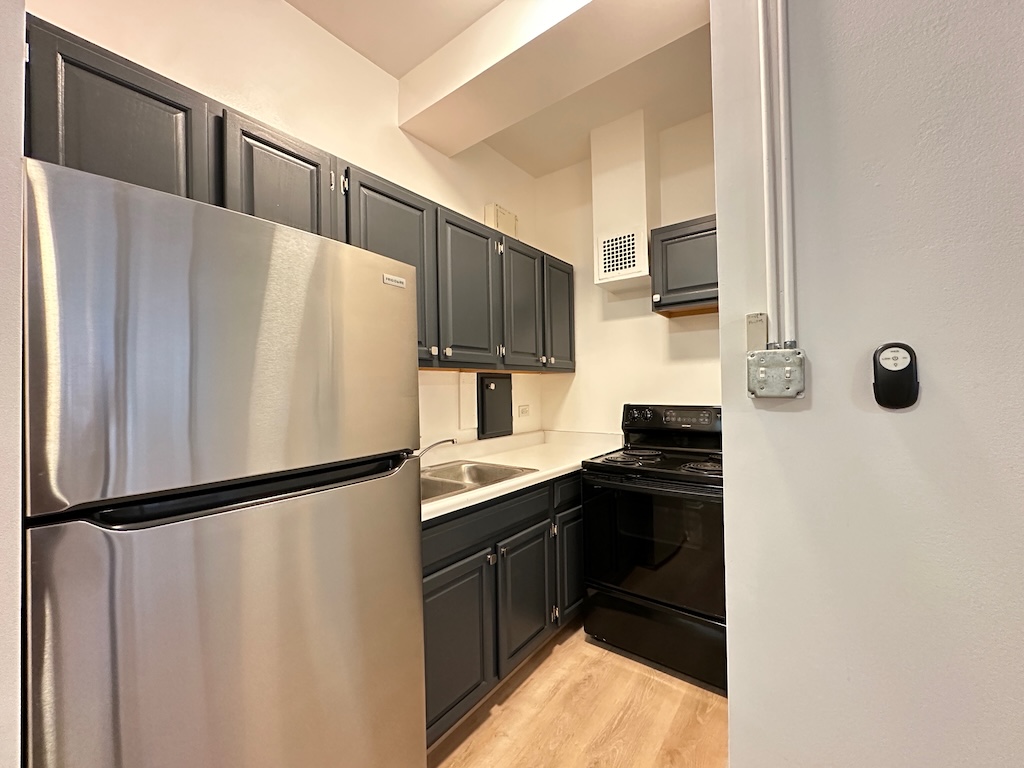 https://chicagocityflats.com/pics/35635-B.jpg?timestamp=2025-04-02T10:18:32-05:00