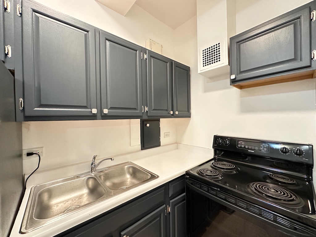 https://chicagocityflats.com/pics/35635-C.jpg?timestamp=2025-04-02T10:18:32-05:00