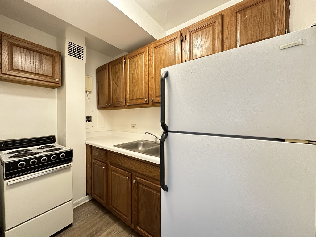 https://chicagocityflats.com/pics/37556-B.jpg?timestamp=2025-06-06T10:34:14-05:00