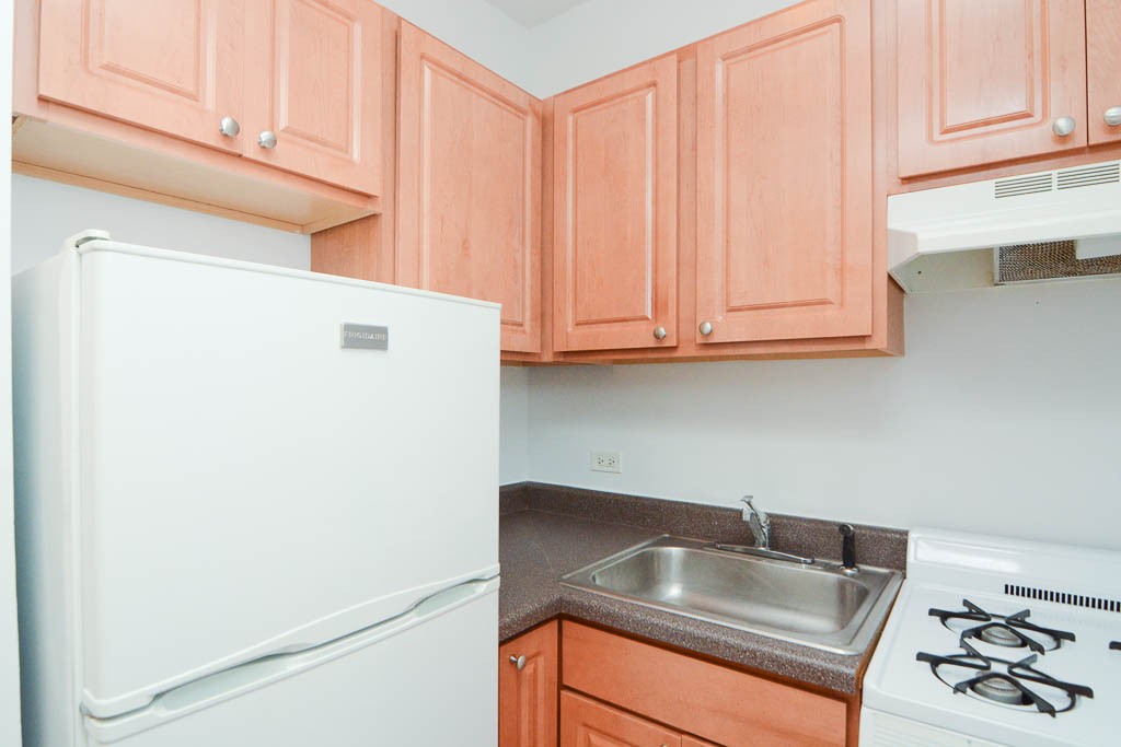https://chicagocityflats.com/pics/41969-C.jpg?timestamp=2024-12-03T02:50:16-06:00