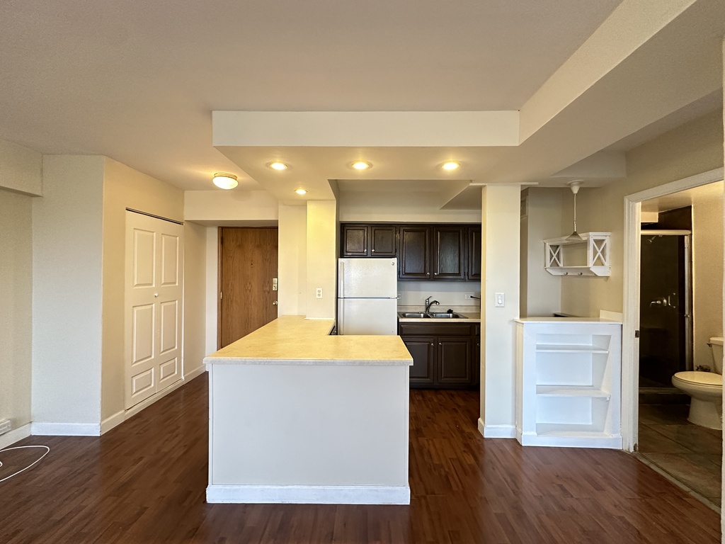 https://chicagocityflats.com/pics/42171-B.jpg?timestamp=2025-06-06T10:34:14-05:00