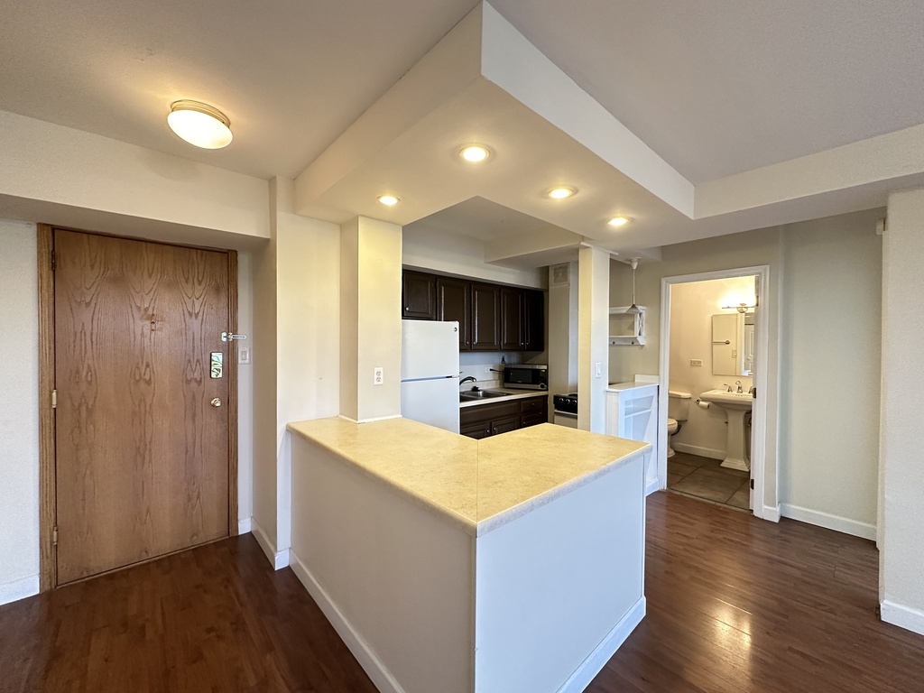 https://chicagocityflats.com/pics/42171-C.jpg?timestamp=2025-06-06T10:34:14-05:00