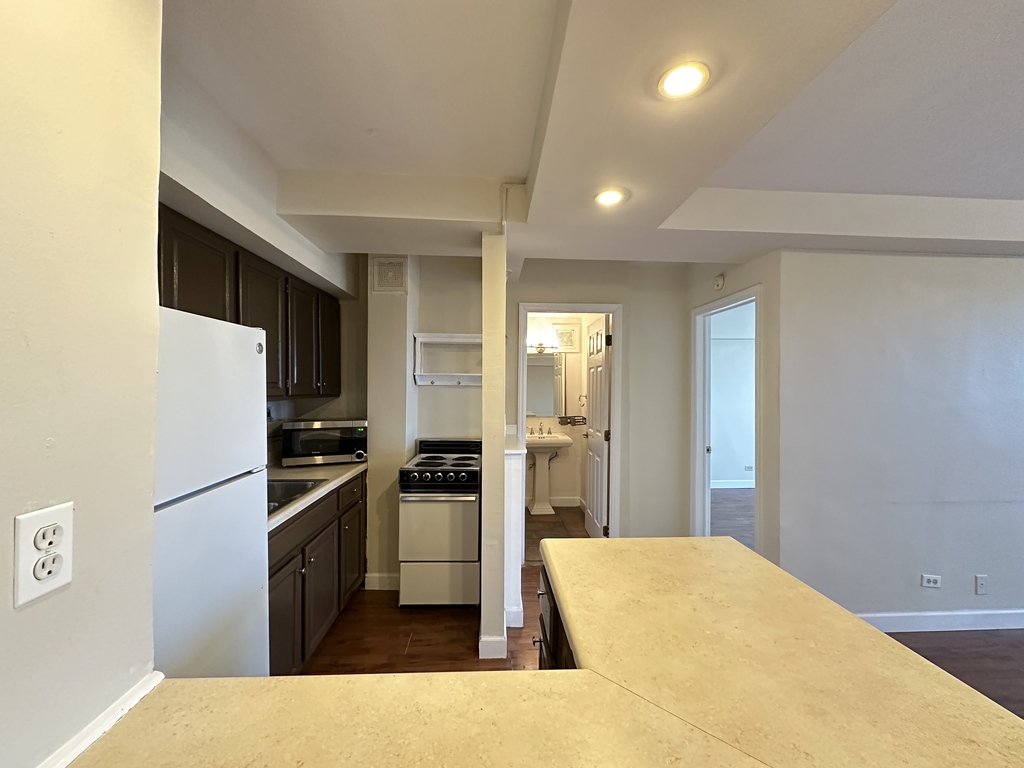 https://chicagocityflats.com/pics/42171-D.jpg?timestamp=2025-06-06T10:34:14-05:00