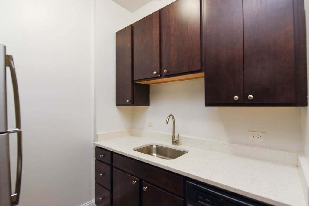 https://chicagocityflats.com/pics/42425-C.jpg?timestamp=2024-12-03T02:50:16-06:00