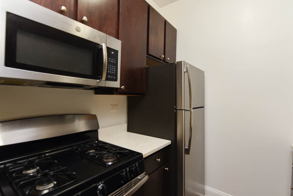 https://chicagocityflats.com/pics/42425-D.jpg?timestamp=2024-12-03T02:50:16-06:00