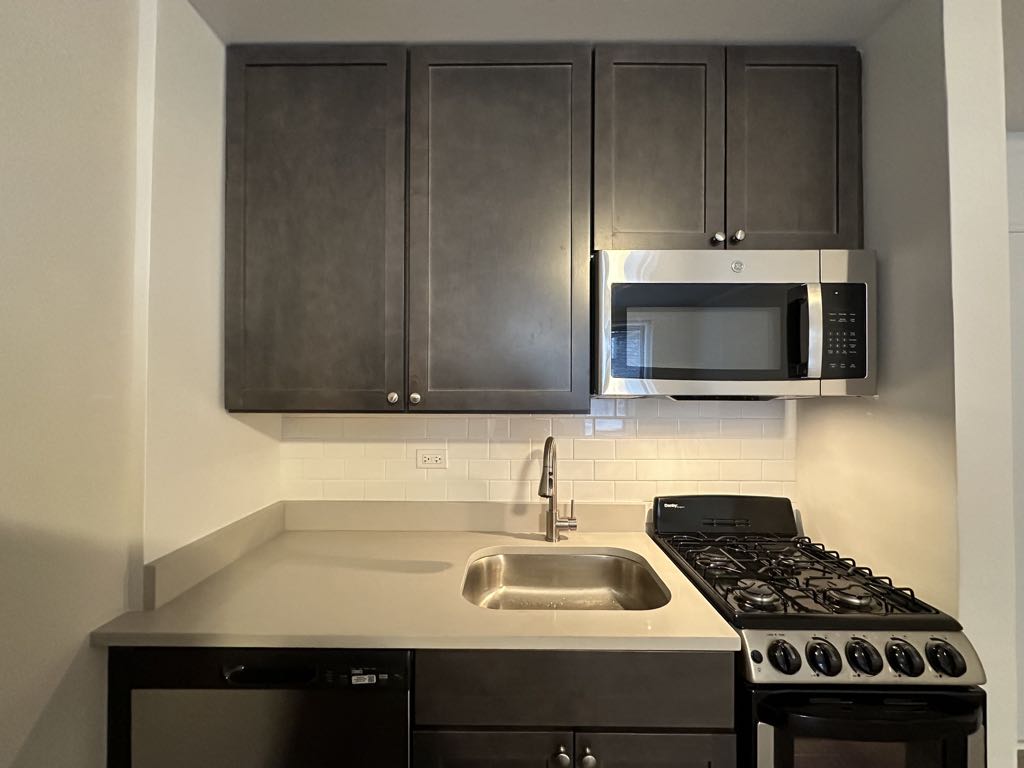 https://chicagocityflats.com/pics/52094-D.jpg?timestamp=2024-12-03T02:50:17-06:00