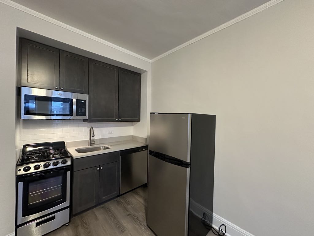https://chicagocityflats.com/pics/52095-B.jpg?timestamp=2024-12-03T02:50:17-06:00