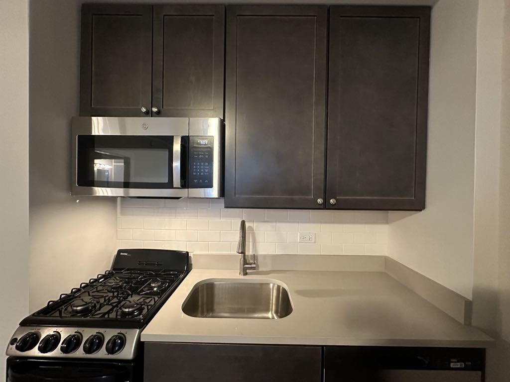 https://chicagocityflats.com/pics/52095-C.jpg?timestamp=2024-12-03T02:50:17-06:00