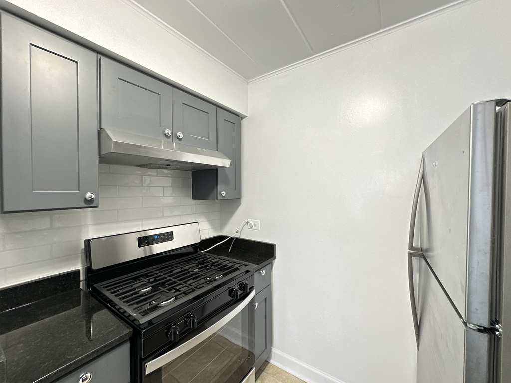 https://chicagocityflats.com/pics/57186-D.jpg?timestamp=2025-06-06T10:34:19-05:00