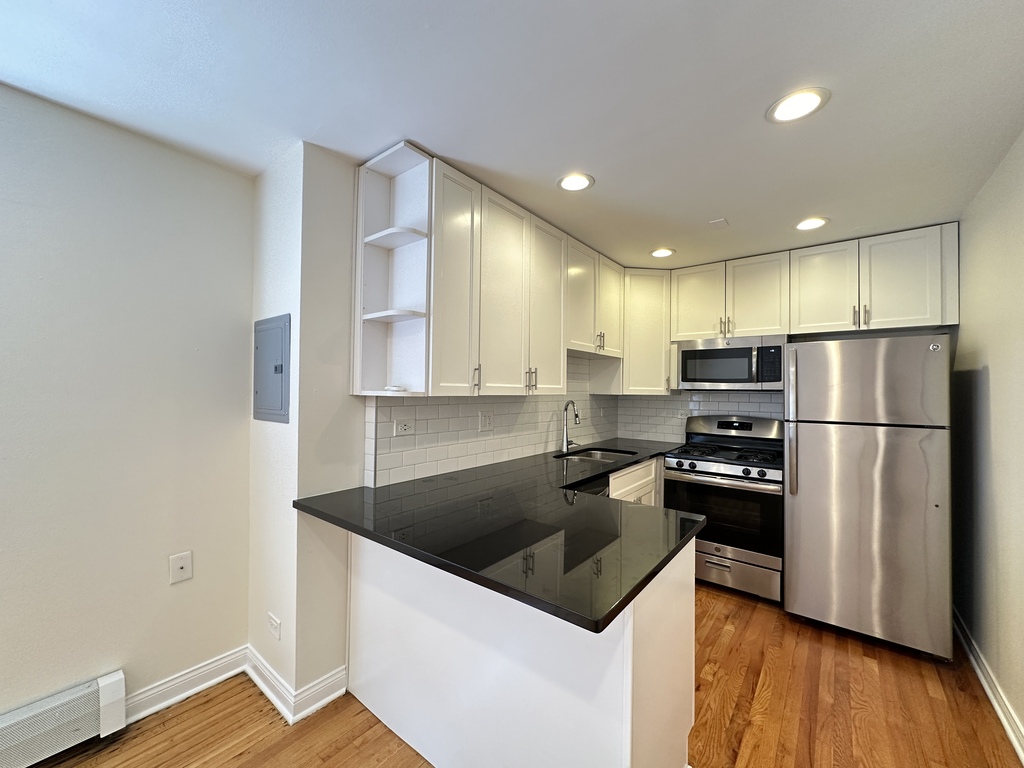 https://chicagocityflats.com/pics/57346-B.jpg?timestamp=2025-06-12T10:47:02-05:00